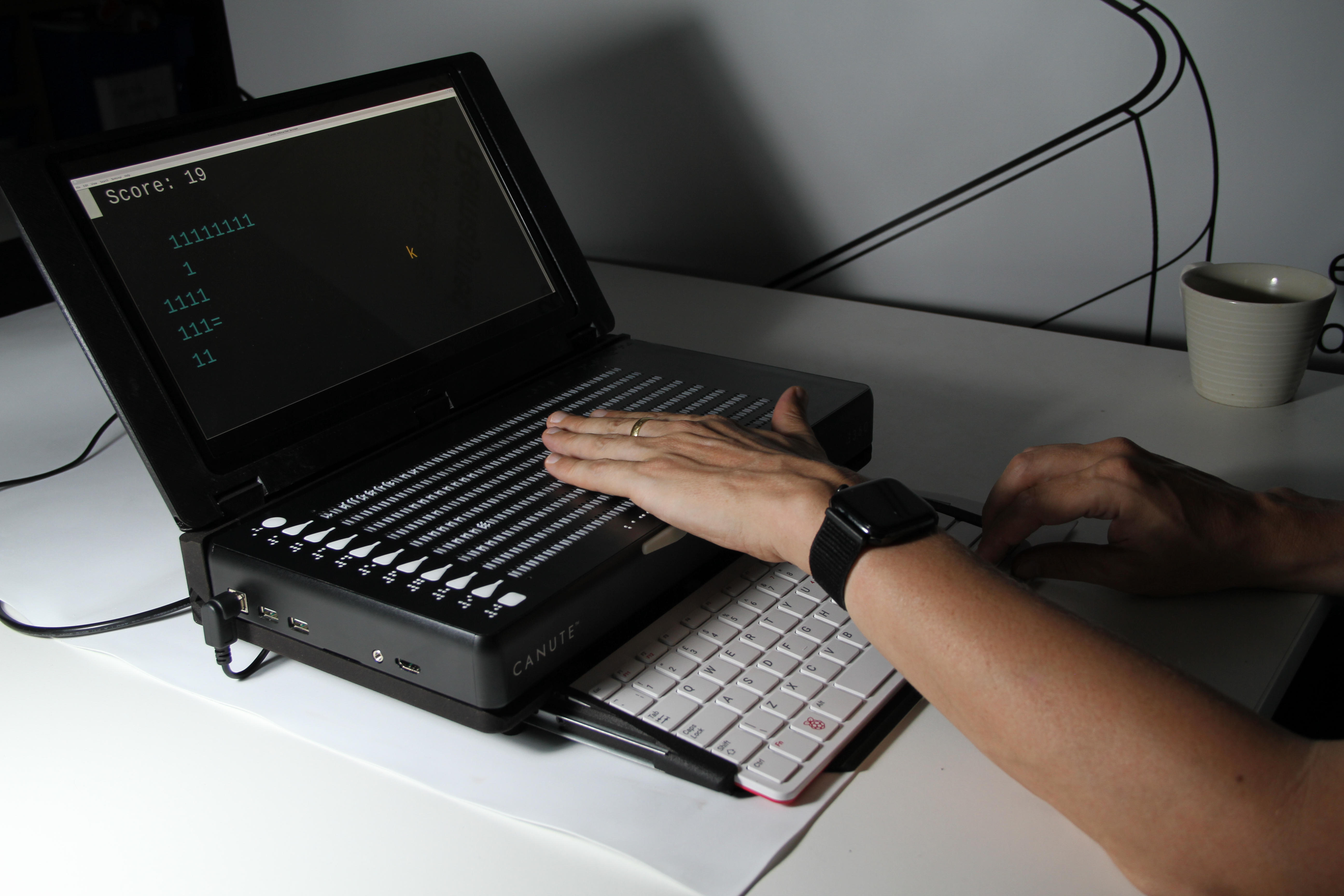 An Image of the Canute Console being used to play snake.